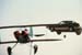Caddy Flys over Plane
